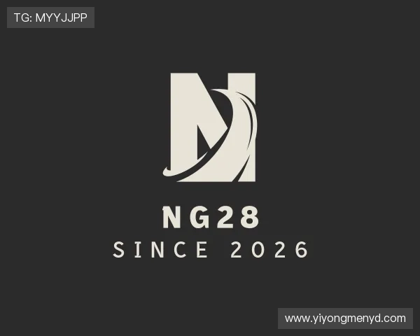 认识NG28
